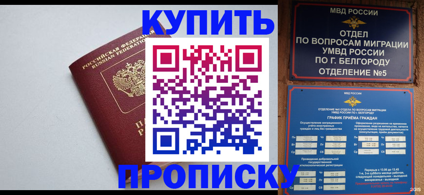 прописка регистрация в Армавире